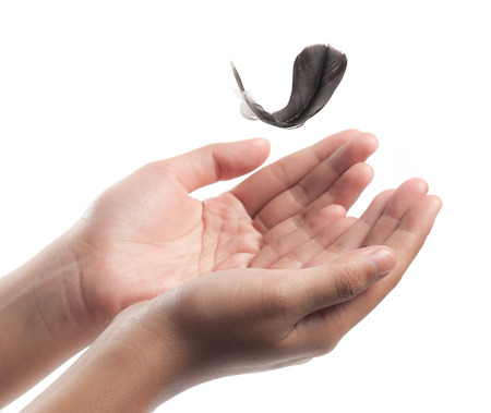 Flying gray with hand on white backgroundの写真素材