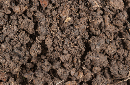 Peat soil texture backgroundの写真素材