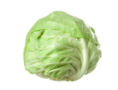 Cabbage isolated on white backgroundの写真素材