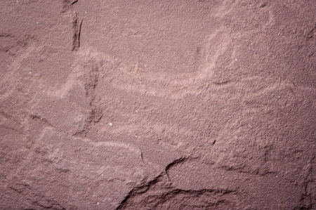 Details of stone texture,stone background.の写真素材