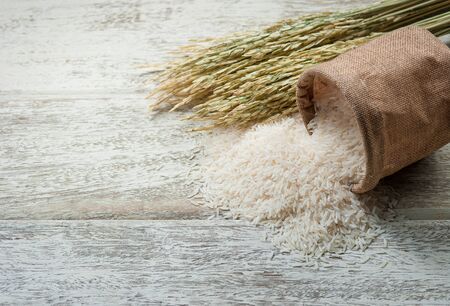 white rice and paddy pile on wood background,Selective focusの写真素材
