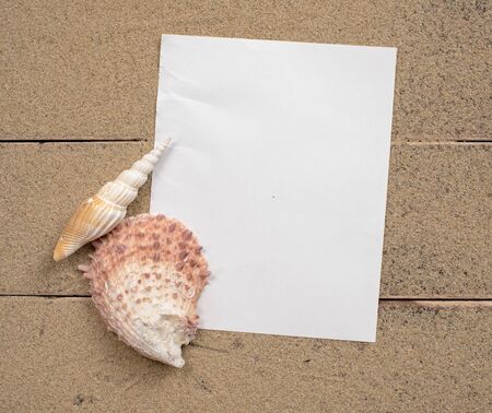 Empty white note paper and shells with sand on wood,Holiday conceptの写真素材