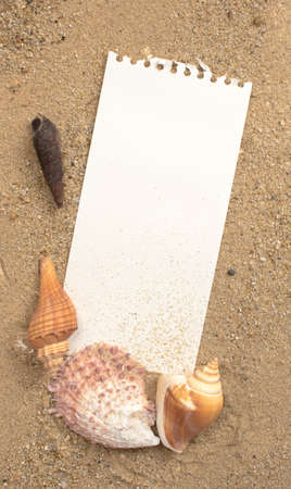 Empty white note paper and shells on beach sand,Holiday concept