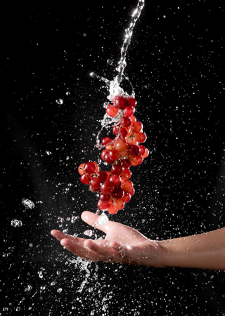 Grapes of red wine with water splash over black backgroundの写真素材