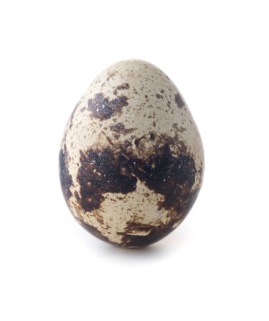 boiled quail eggs on white backgroundの写真素材