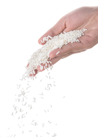 Hands dropping rice grain isolated on white background.の写真素材