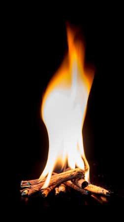 Camp fire with burning dry branches pile on darkの写真素材