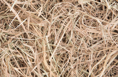Close up of straw background texture