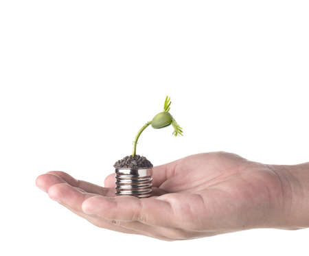 Energy saving concept, hand holding plant growing out of  light bulb isolated on white background.の写真素材