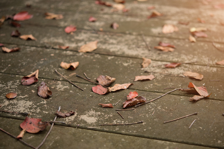 Autumn red leaves fall on concrete floor backgroundの写真素材