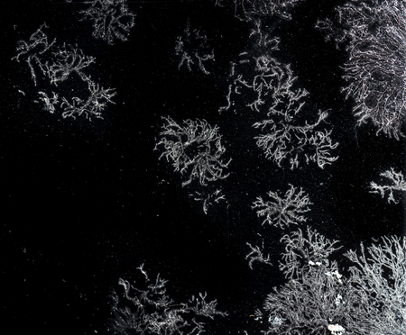 Fungus on lens glass,dark backgroundの写真素材