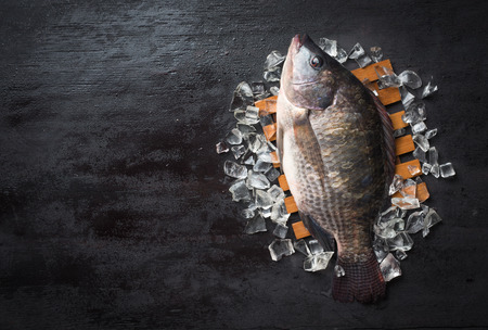 Fresh Tilapia fish on iced,top view