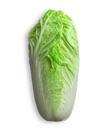 Romain Lettuce isolated on a whiteの写真素材