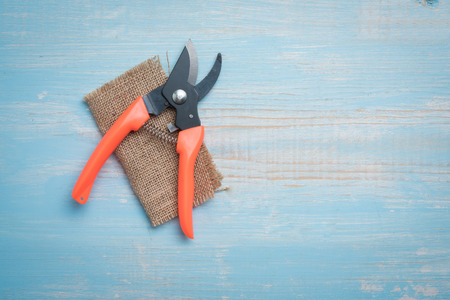 Pruning Shears on wooden tableの写真素材