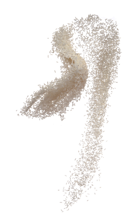 Raw white rice explosion isolated on white,Motion blurの写真素材
