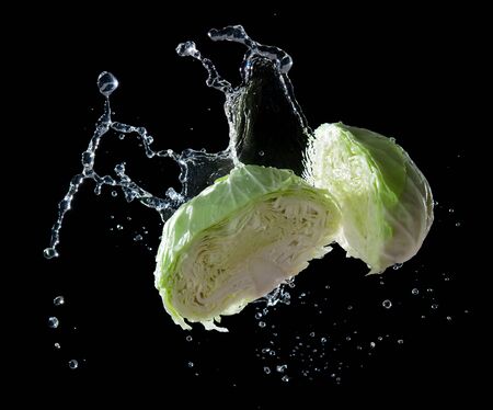 Cut cabbage with water splash or explosion flying in the air isolated on black background,cabbage washingの写真素材