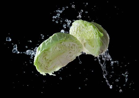 Cut cabbage with water splash or explosion flying in the air isolated on black background,cabbage washingの写真素材