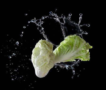 Head of lettuce with water splash or explosion flying in the air isolated on black background,lettuce washingの写真素材