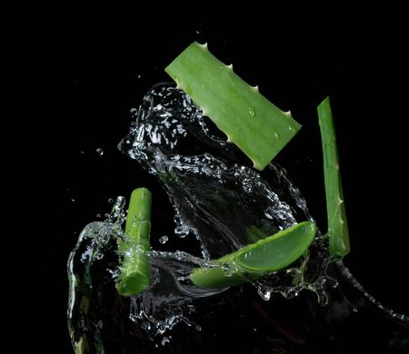 Aloe vera slices with water splash on black backgroundの写真素材