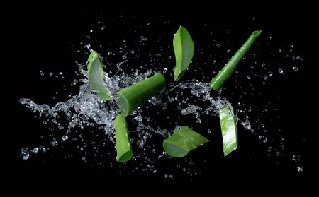 Aloe vera slices with water splash on black backgroundの写真素材