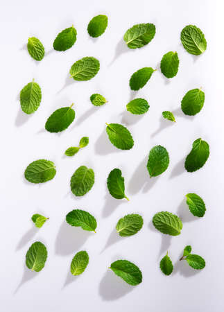 Top view of Mint leaves pattern isolated on white background.