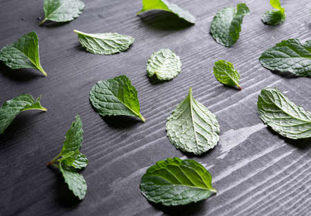Top view of Mint leaves pattern on black wood background.
