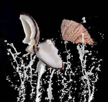 Cracked coconuts with milk splash on black background