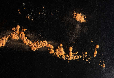 small orange fungi on black woodの写真素材