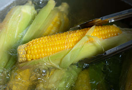 Boil the corn in boiling waterの写真素材