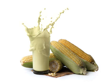 fresh corn milk and corn isolated on white background,corn milk splashの写真素材
