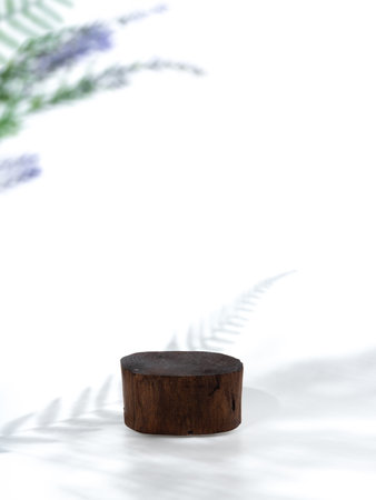 Wood podium stage with shadow of leaf background for product presentation,Spring and summer.の写真素材