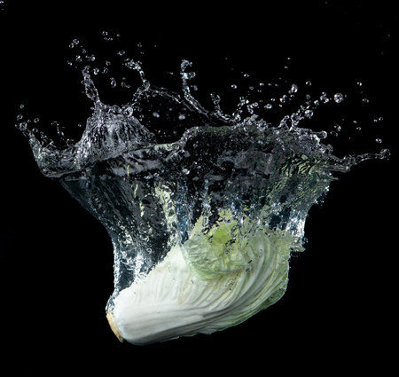 Head of lettuce with water splash isolated on black background,lettuce washingの写真素材