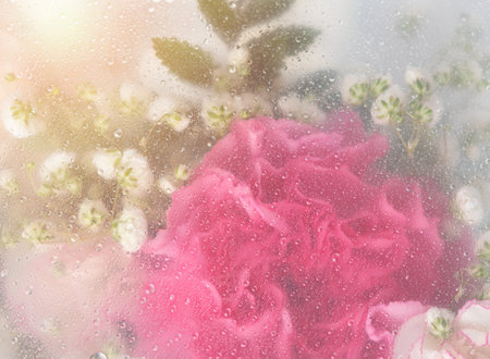 Bright beautiful bouquet of pink white and red flowers arrangement behind a white matte glass blurry with water drops,soft focus,DOF- depth of fieldの写真素材