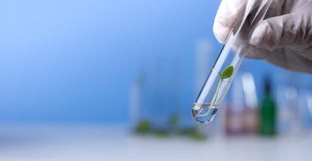 Hand in glove holding test tube with plant in laboratoryの写真素材