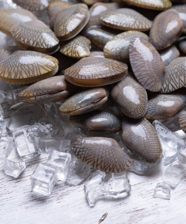 Clams for cooked food on iceの写真素材