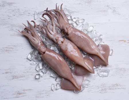 Squids octopus or cuttlefish for cooked food on ice