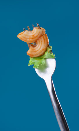 Fork with macaroni with tomato sauce isolated on blue background.の写真素材