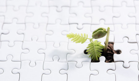 Young plant coming through a blank of white jigsaw puzzleの写真素材