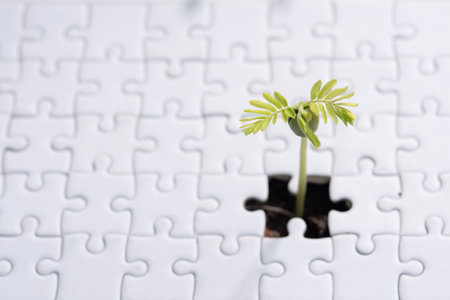 Young plant coming through a blank of white jigsaw puzzleの写真素材