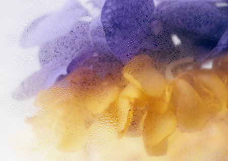 Orchid through the glass with waterdrops background,Abstract Nature blur background.の写真素材