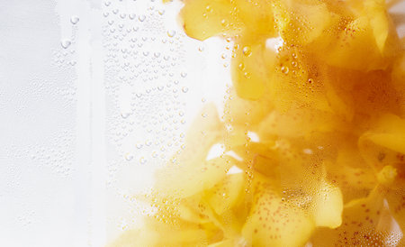 Yellow orchid through the glass with waterdrops background,Abstract Nature blur background.の写真素材