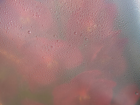 Red flower through the glass with waterdrops background,Abstract Nature blur background.の写真素材
