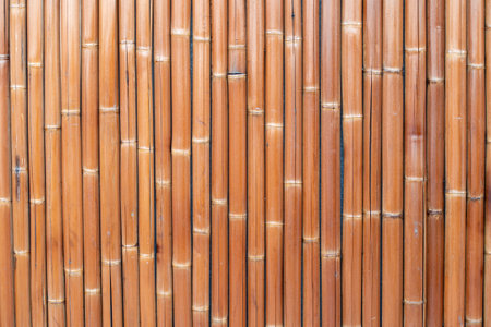 Bamboo texture with natural brown striped pattern on wooden surfaceの写真素材