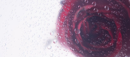 Red rose through the glass with waterdrops background,Abstract Nature blur background.の写真素材