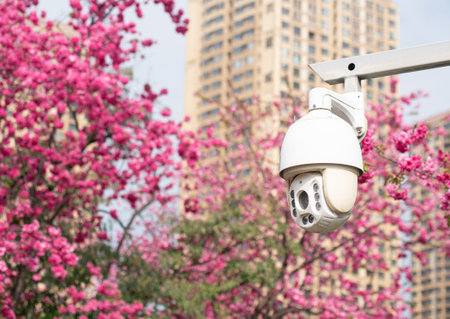 Modern public CCTV camera on blurred green park backgroundの写真素材
