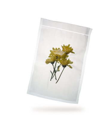 Yellow flower packed in a vacuum bag against a white backgroundの写真素材