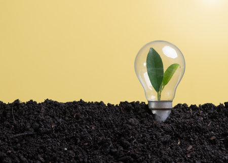 Green sprout growing inside a light bulb in soil,Clean energyの写真素材