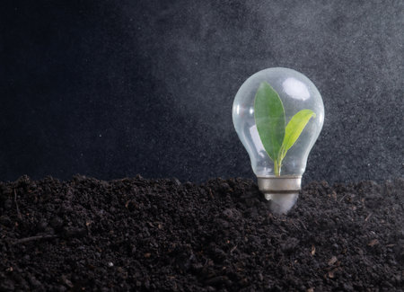 Green sprout growing inside a light bulb in soil,Clean energyの写真素材