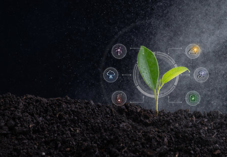 Young green seedling growing from dark soil with environmental icons sprout plant