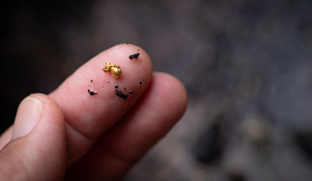 Gold nugget on finger close up.